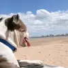 Sara - @saraflinn5 - TikTok