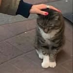 sara florence - @saraflorence05 - Instagram