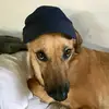 Sara, Florence & Horses - @saraflorence55 - TikTok