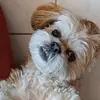 sara Florence - @sara.florence5 - TikTok