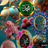 Sara Fort - @sarafort249 - TikTok