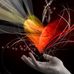 Sara Fort - Facebook
