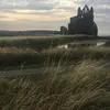 Sarah Forth - @user22094432 - TikTok