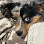 Sarah Franson - Facebook