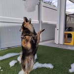 Sara Fredericks Mooney - @mooney1348 - Instagram