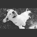 sara freeland - @cookiemonster5254 - Instagram