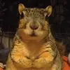 sarahfreeland887 - @sarahfreeland887 - TikTok
