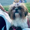 SARA🎀. - @sara.gamez14 - TikTok