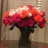 Sara - @saragamez37 - TikTok