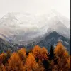 sarahgantz - @sarahgantz - TikTok