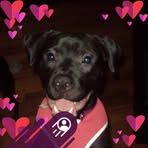 Sara Garver - Facebook
