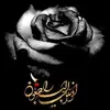 Sara Gholami - @sara.gholami47 - TikTok