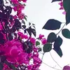 saraelghorayeb1 - @saraelghorayeb1 - TikTok
