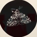 Sarah Gillespie - @sarahgillespieart - Instagram