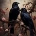 Sara Good - Facebook