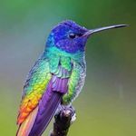 Sara Goodwin - @sara.goodwin.5876 - Instagram