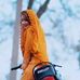 Sara Khan - Facebook