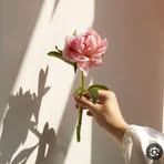 Sara Al-hamad - Facebook