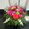 Sara Hamad - @user446779862 - TikTok