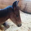 Sara Hartley - @sarahartley58 - TikTok