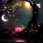 Sara Hashem - Facebook