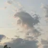 Sara - @sara.hashem900 - TikTok