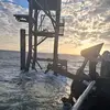 God's creation - @sarah.hawks1 - TikTok