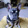 sarahawks - @sarahawks - TikTok