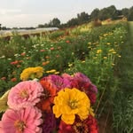 Sarah Hazard Esthetics - @sarahhazardesthetics - Instagram