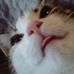 Sarah Healey - Facebook