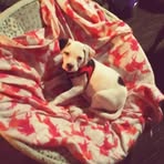 Sarah Hedgepeth - Facebook