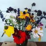 Sarah Hedges - @sarah_hedges_sweetpea - Instagram