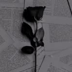 Sara Hegab - Facebook