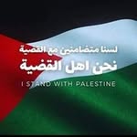 Sara Hegab 🇵🇸 - @sara.ayman0074 - Instagram