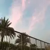 Sara Hegab - @sara_flips.99 - TikTok