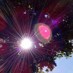 * S a r a h * - @sarah_egg_ - Instagram