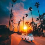 Evelyn Sara Heimerl - @evelynsaraheimerl - Instagram