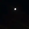 sara_hein - @sarahein223 - TikTok