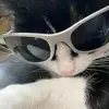 Sara Hellström - @sara.hellstrm - TikTok