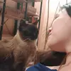 Sarah Elms - @sarah_elms - TikTok