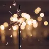 Sara Hendricks - @sarahendricks588 - TikTok