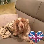 Sara Herbert - @saraherbert5047 - Instagram