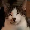 Sara herbst - @saraherbst0 - TikTok