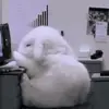 Sarah Herbst - @sarah.herbst54 - TikTok