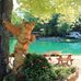 Sara Herman - Facebook
