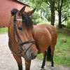 Sarah Hermansen  - @sarahglatved - TikTok