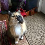 Sarah Herndon - @herndon.sarah - Instagram