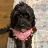 Sarah Herrick - @sarah_h61014 - TikTok