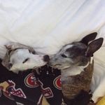 Sarah Herrick - @whippimom - Instagram
