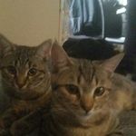 Sara Herrmann - @saraherrmann357 - Instagram